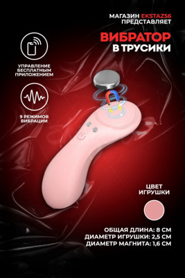 Вибратор в трусики с управлением приложением арт. CD63-APP-PK
