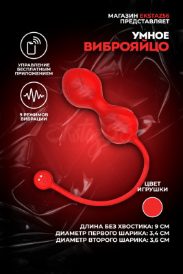 Виброяйцо с управлением приложением арт. TD020-RD-APP
