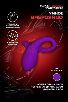 Виброяйцо с управлением через приложение арт. TD029-APP-PU