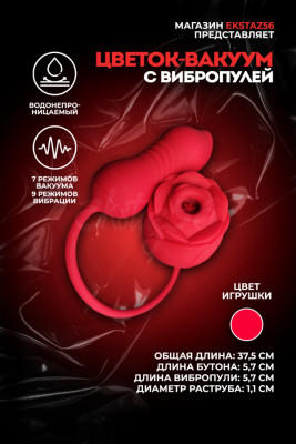 Виброяйцо с вакуумным стимулятором клитора арт. КИТ-01 крас