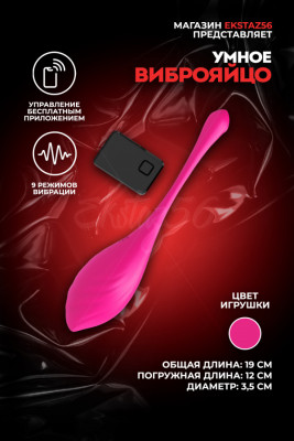 Виброяйцо с управлением через приложение арт. TD019-RD